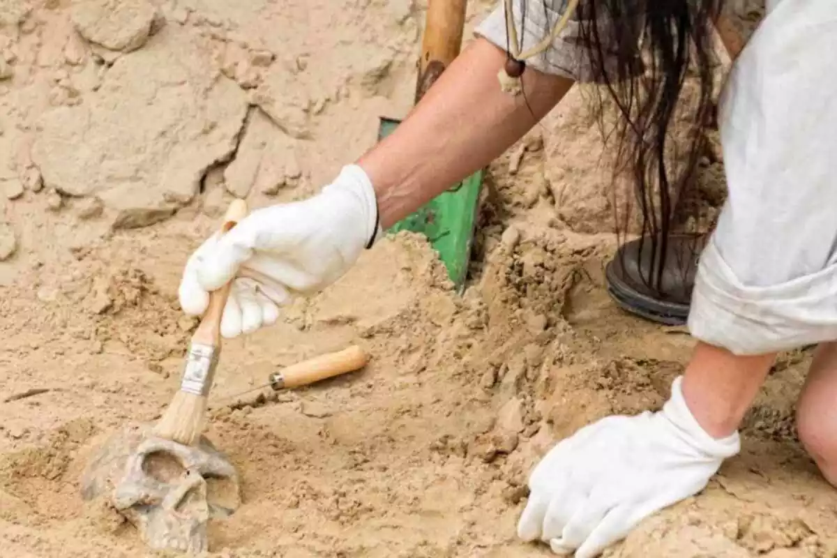 Arqueóloga excavando