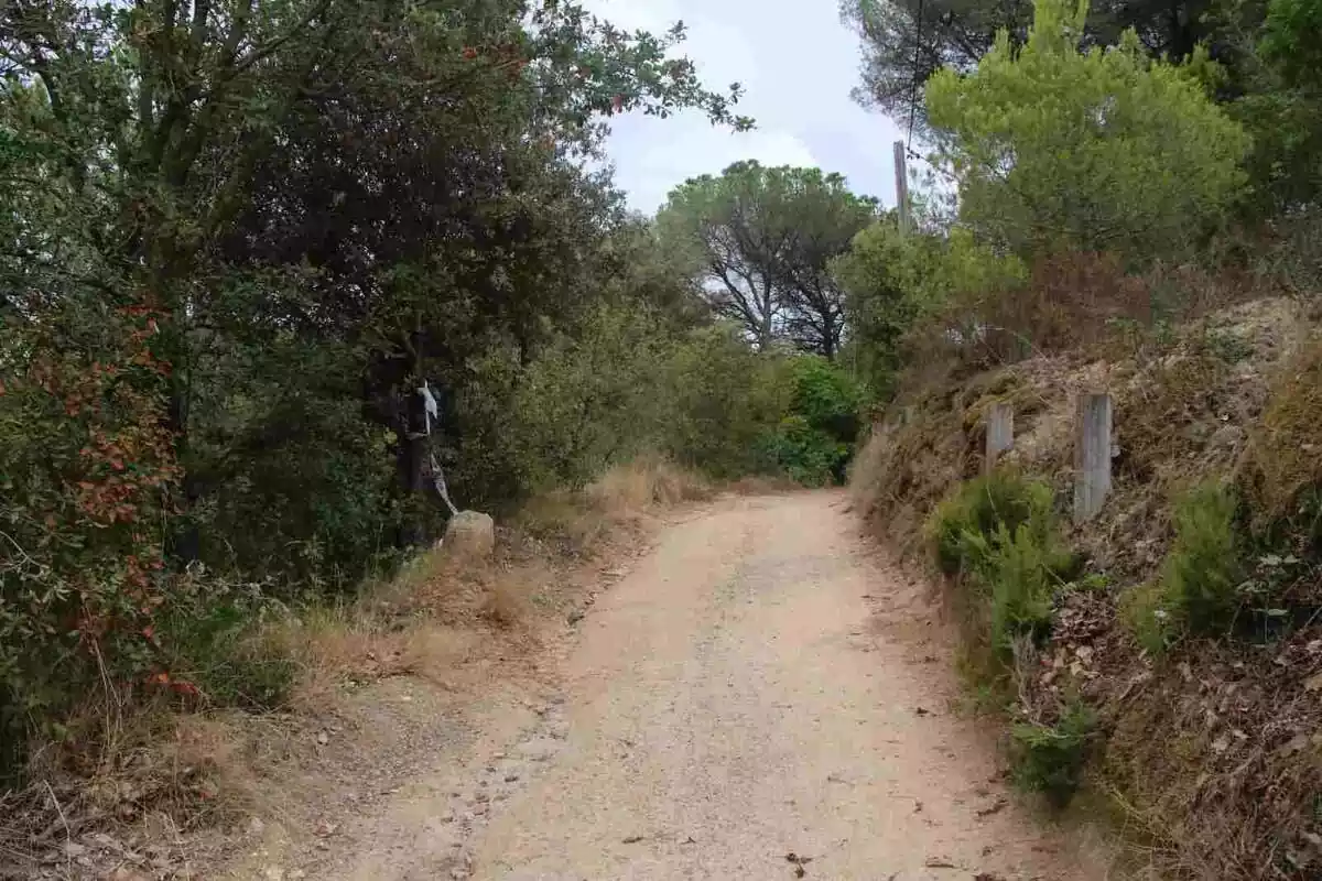 Imagen del camino de Blanes donde los Mossos d'Esquadra han localizado el cadáver de un chico de 32 años
