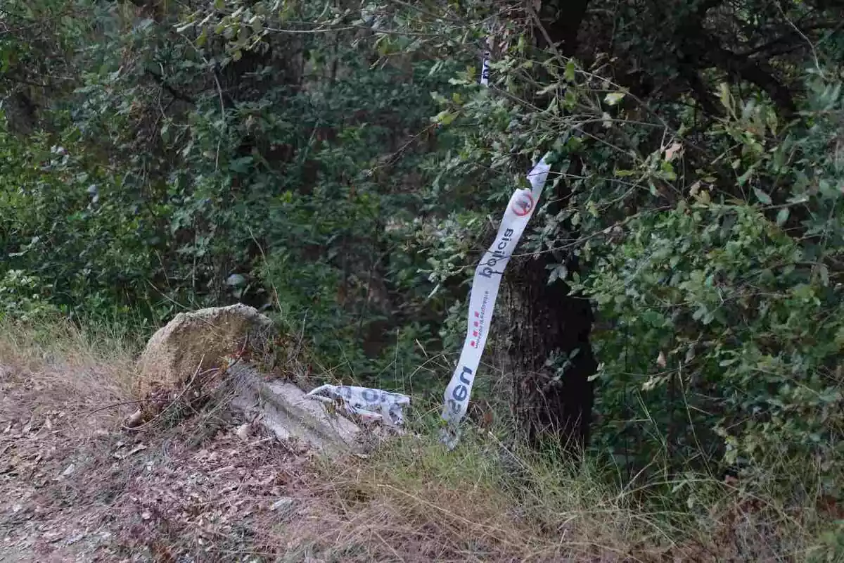 Imagen de una zona boscosa en Blanes con una cinta de los Mossos d'Esquadra