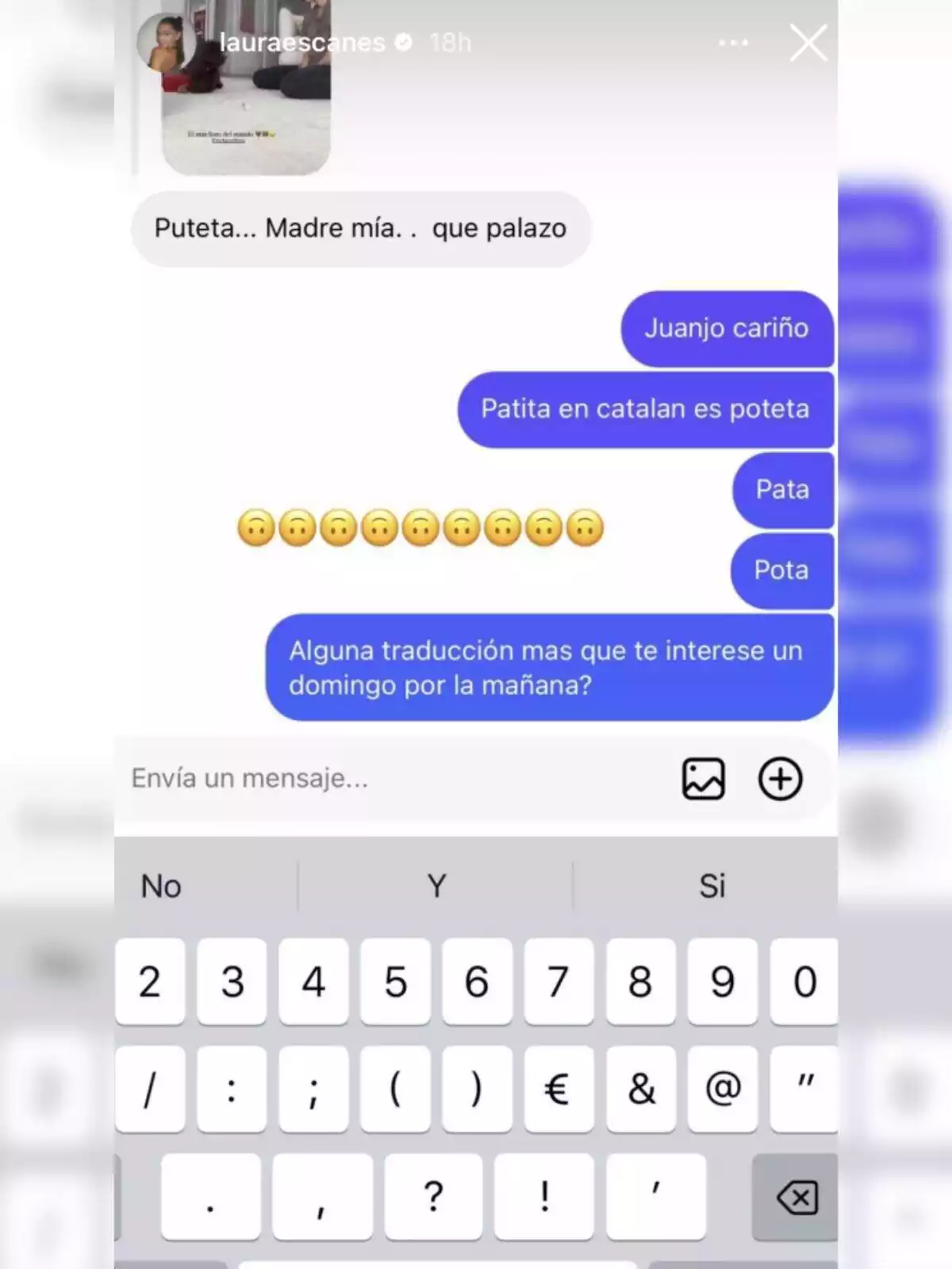 Storie de Laura Escanes en Instagram respondiendo a un seguidor sobre una palabra en catalán